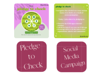 Pledge to Check Instagram Campaign Thumbnail