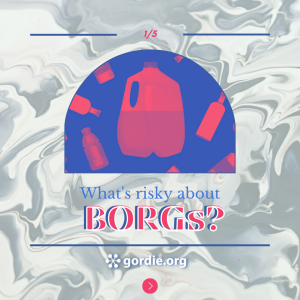BORGs Instagram Campaign Cover Page