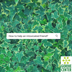 How to Help an Intoxicated Friend Instagram Campaign Cover Page